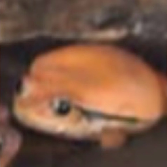 crc_p